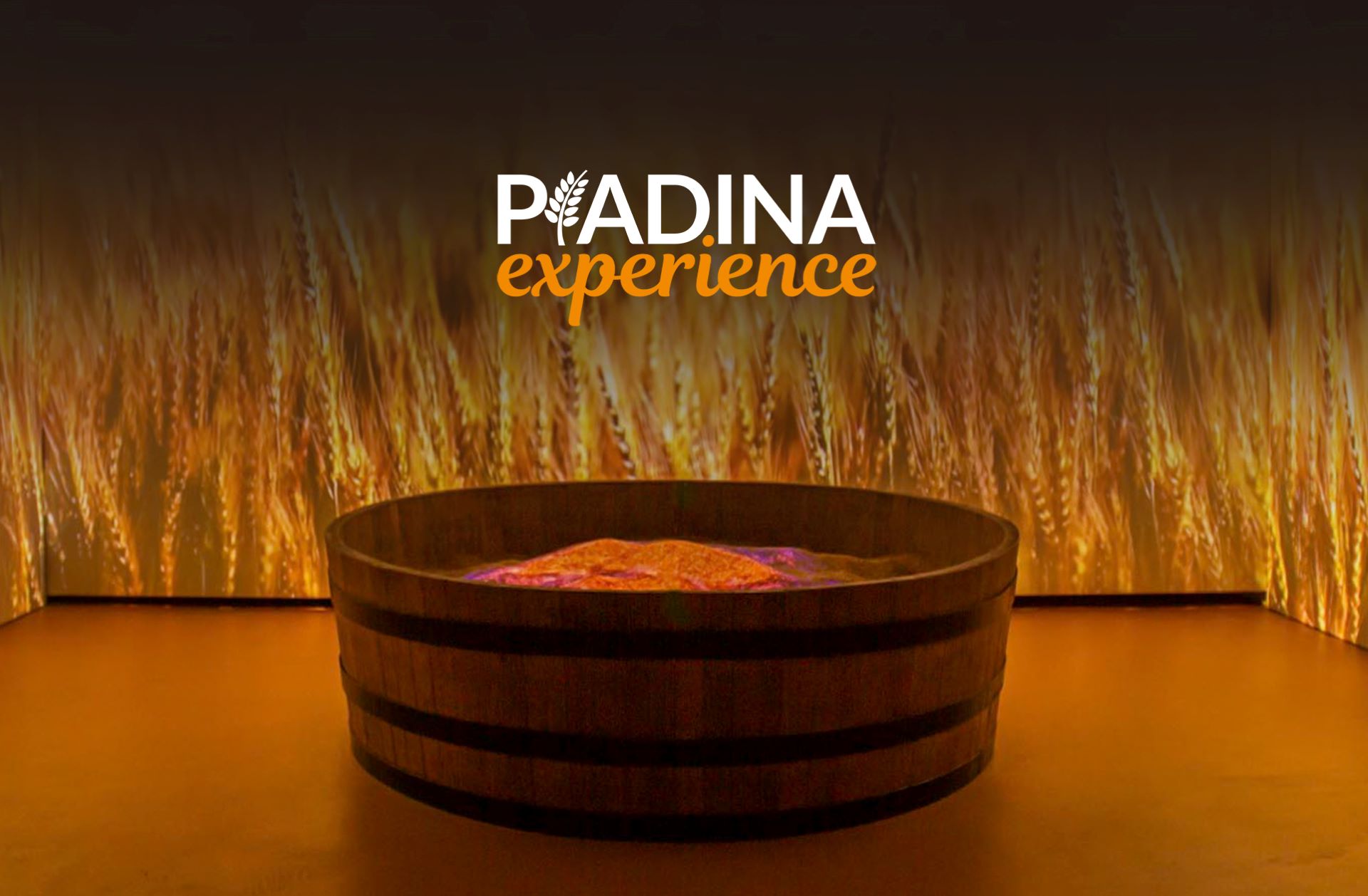piadina experience