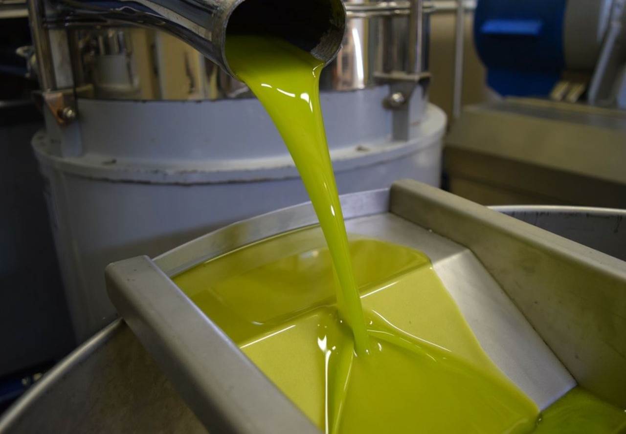 olio evo