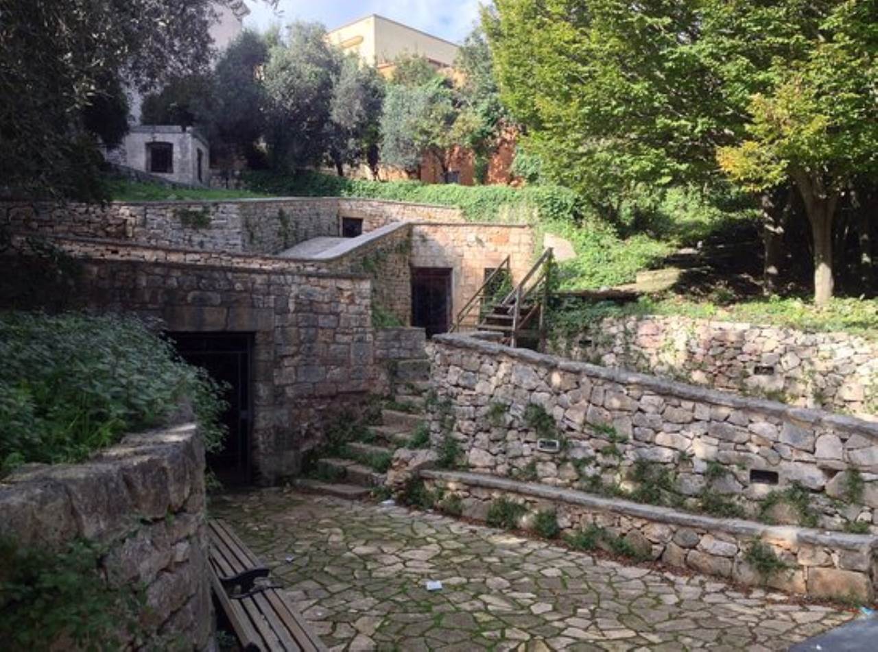 gravina