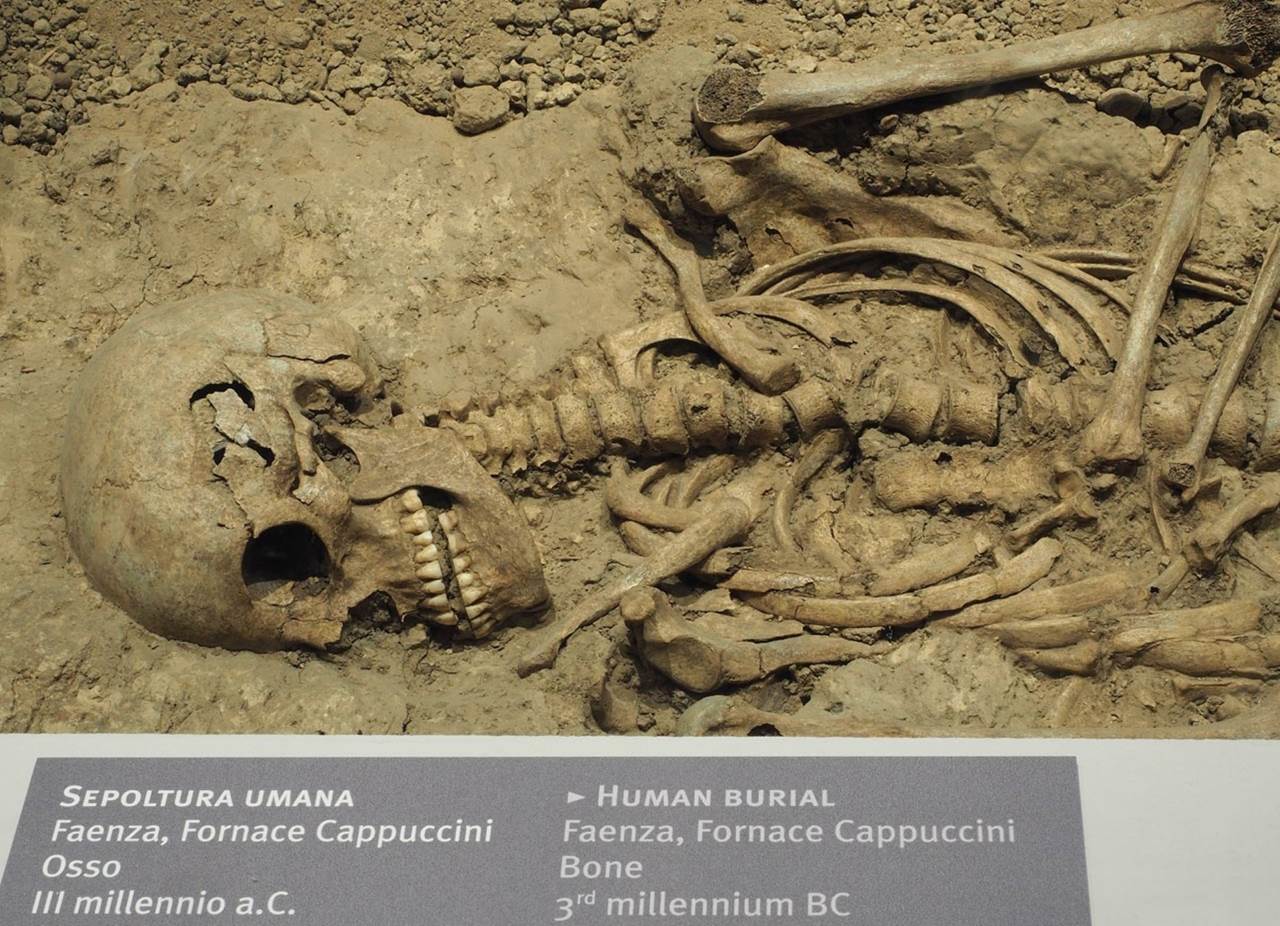foto10 vetrina preistoria ed etruschi particolare sepoltura w