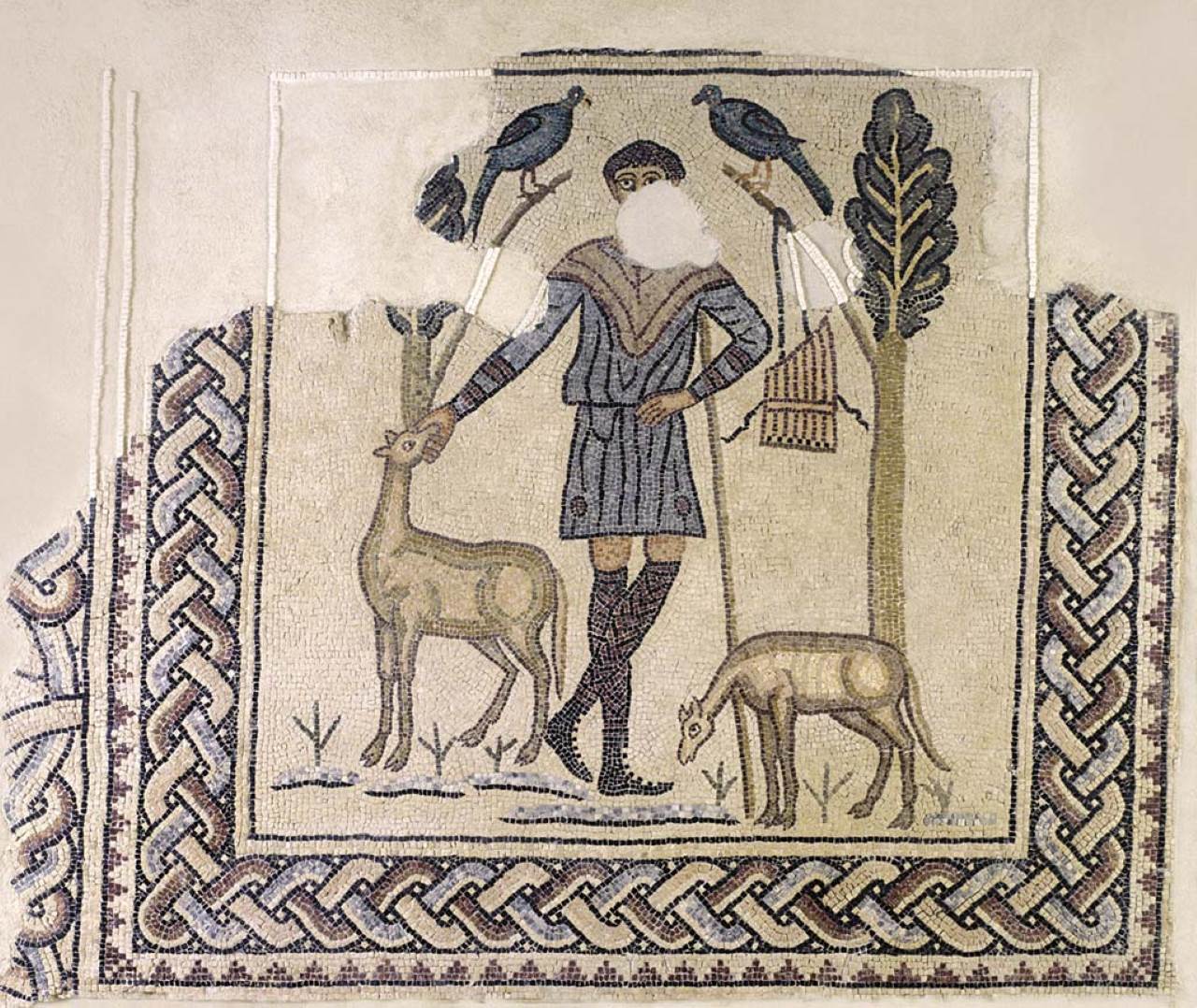 domus dei tappeti di pietra mosaico del buon pastore