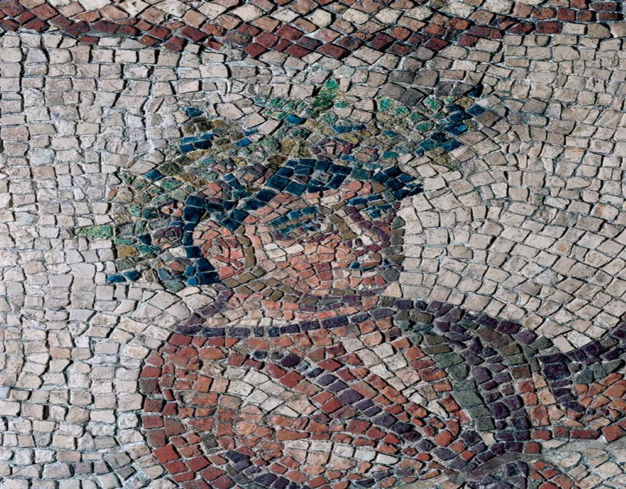 domus dei tappeti di pietra la primavera particolare