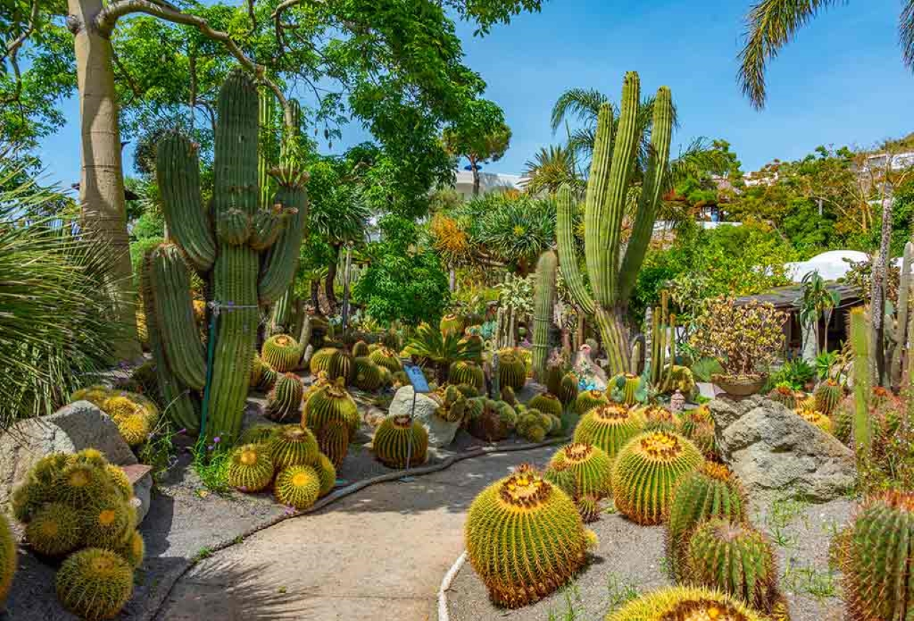 giardini ravino 2