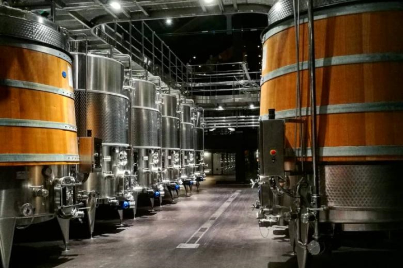 fermentini lato