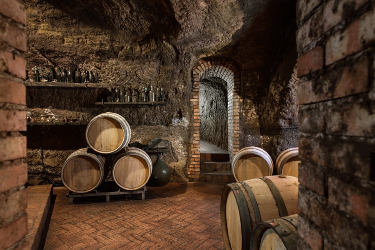 10 cantina 2