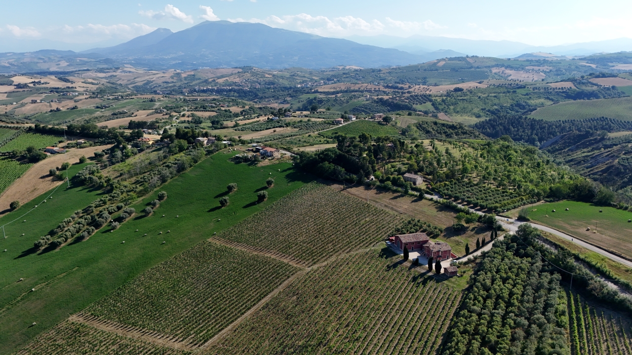 dji 20240628172241 0051 d 2