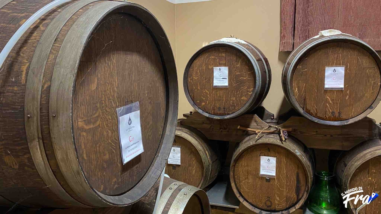 botti acetaia la vedetta castelvetro di modena 00002 2