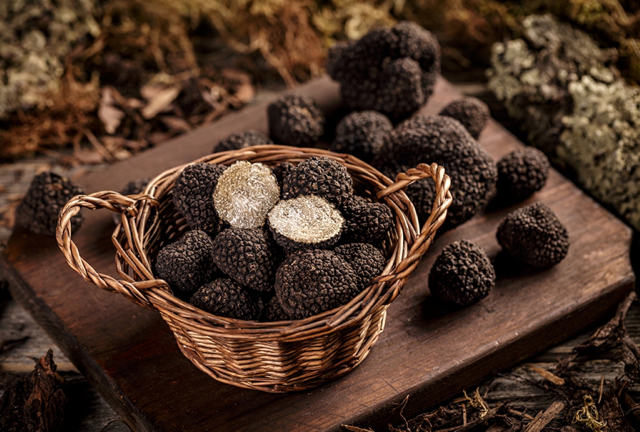 tartufo proprieta versilfood 2