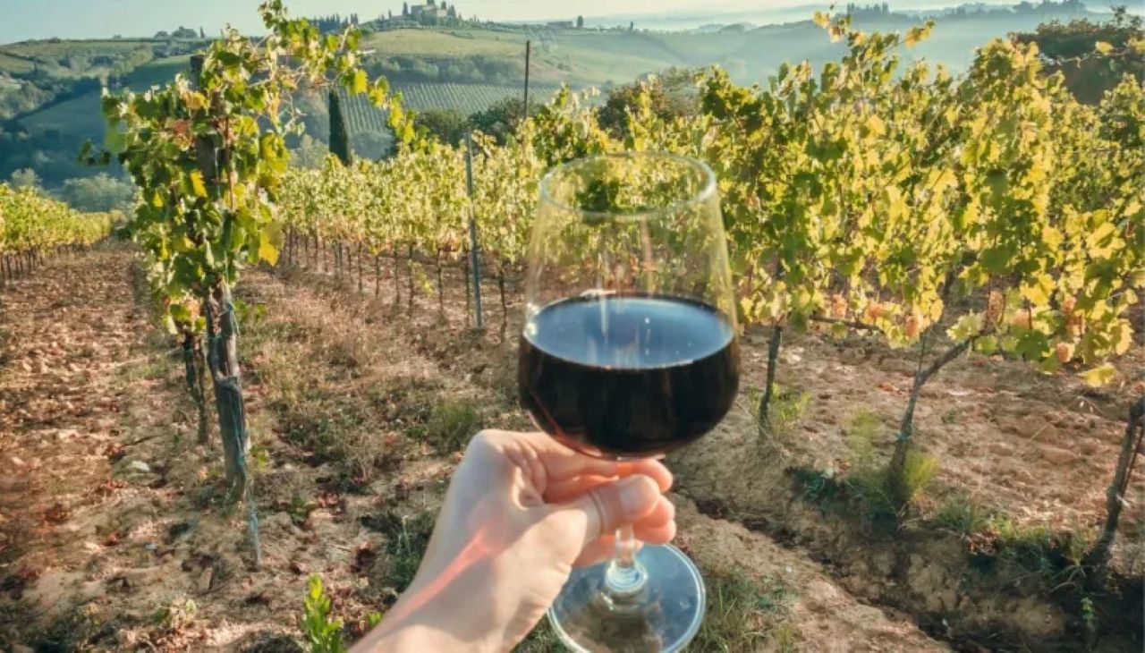 vigneto italia