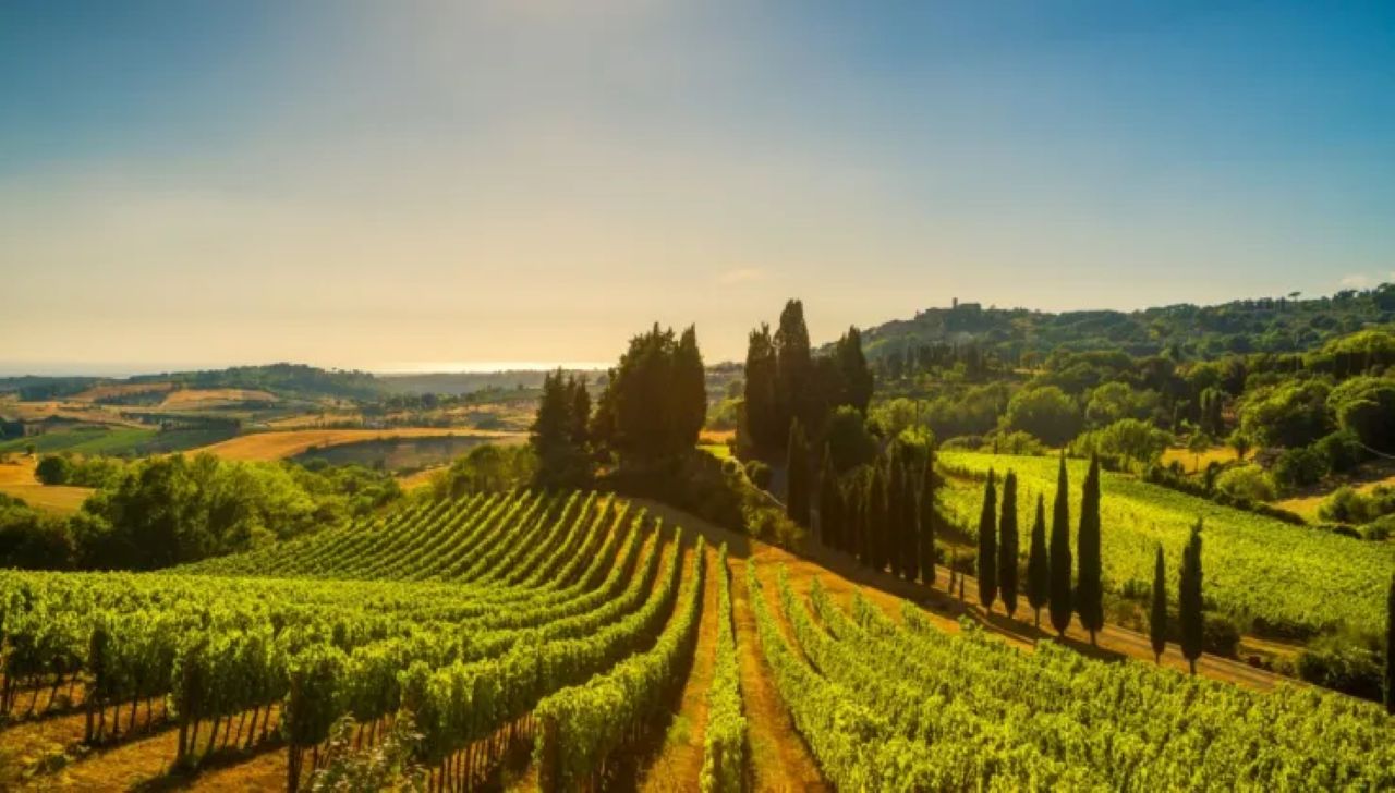 maremma