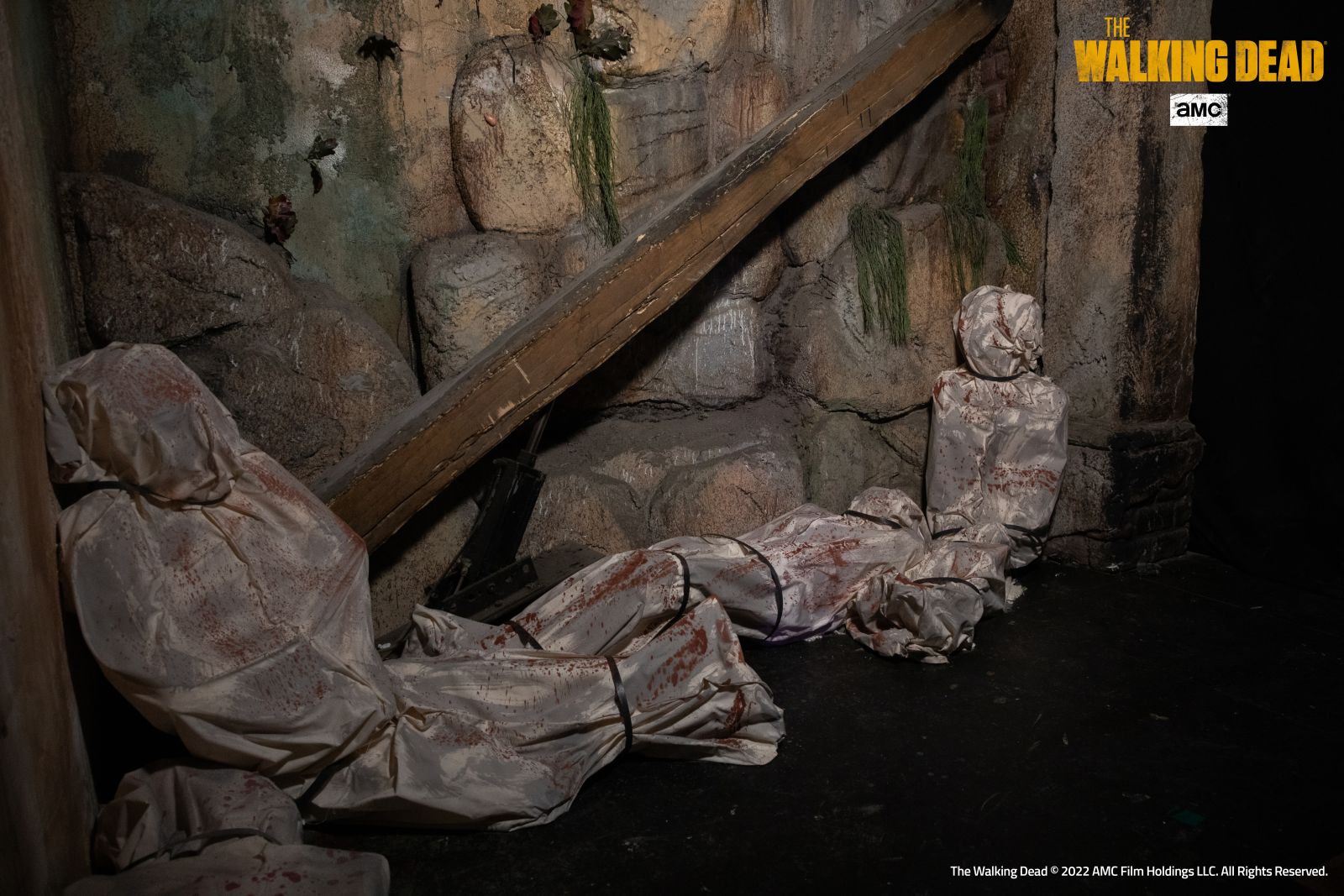 twd mirabilandia 1l4a5831