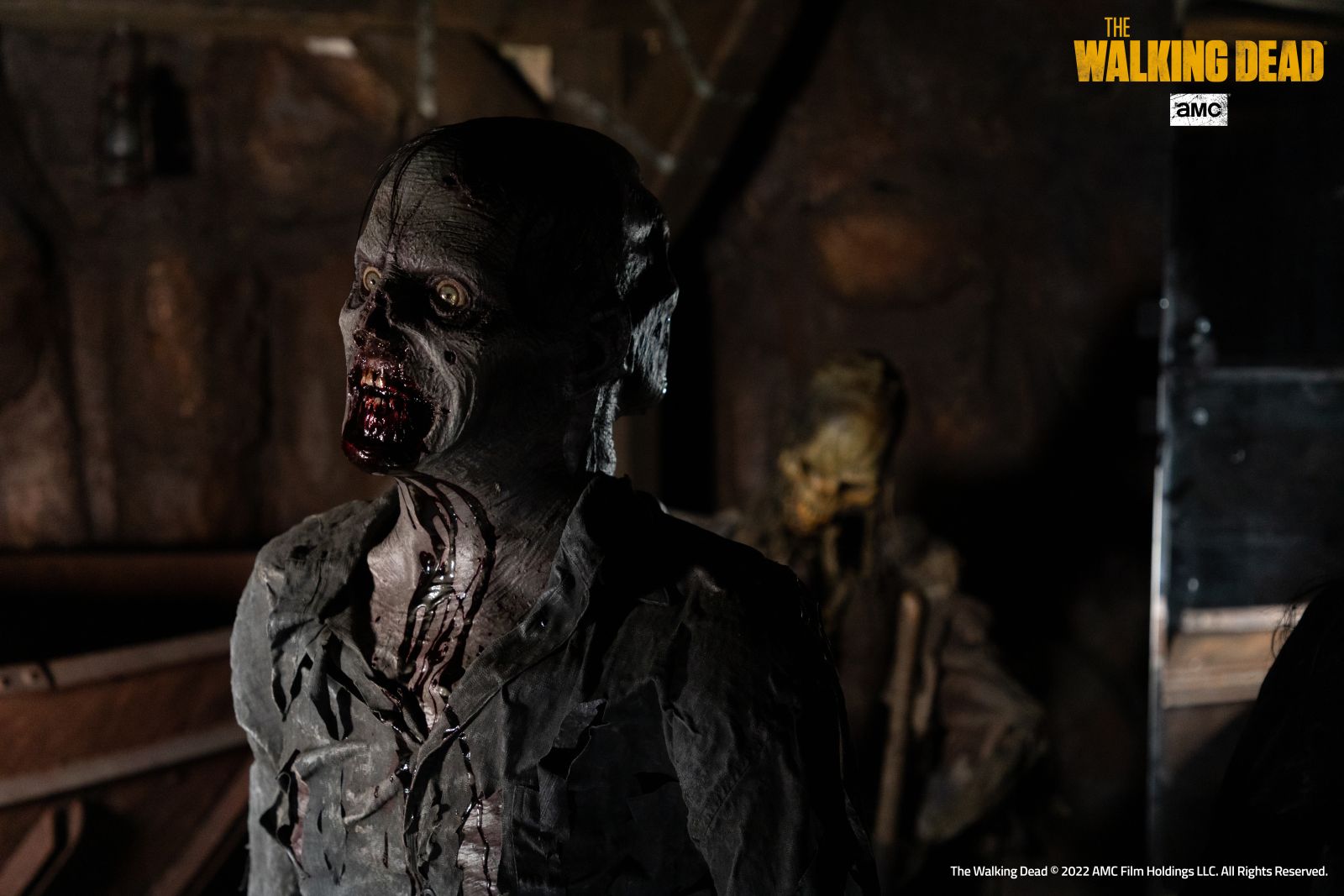 twd mirabilandia 1l4a5860