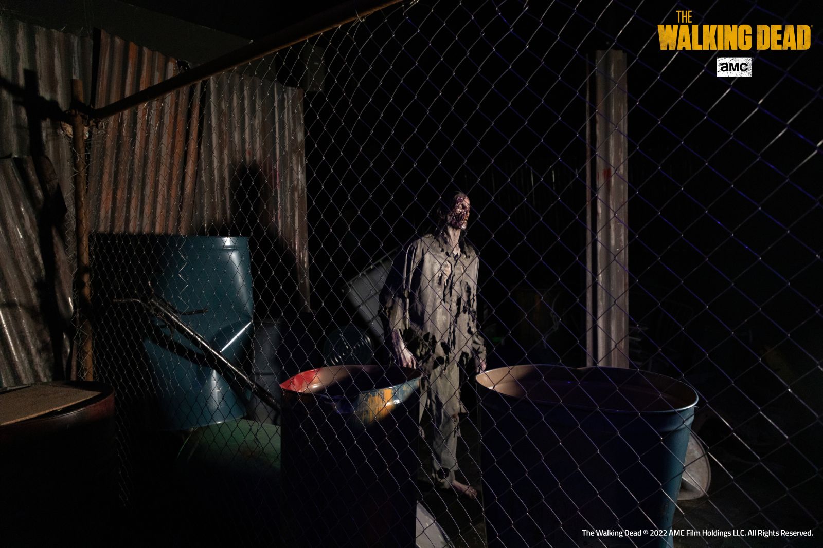 twd mirabilandia 1l4a5905