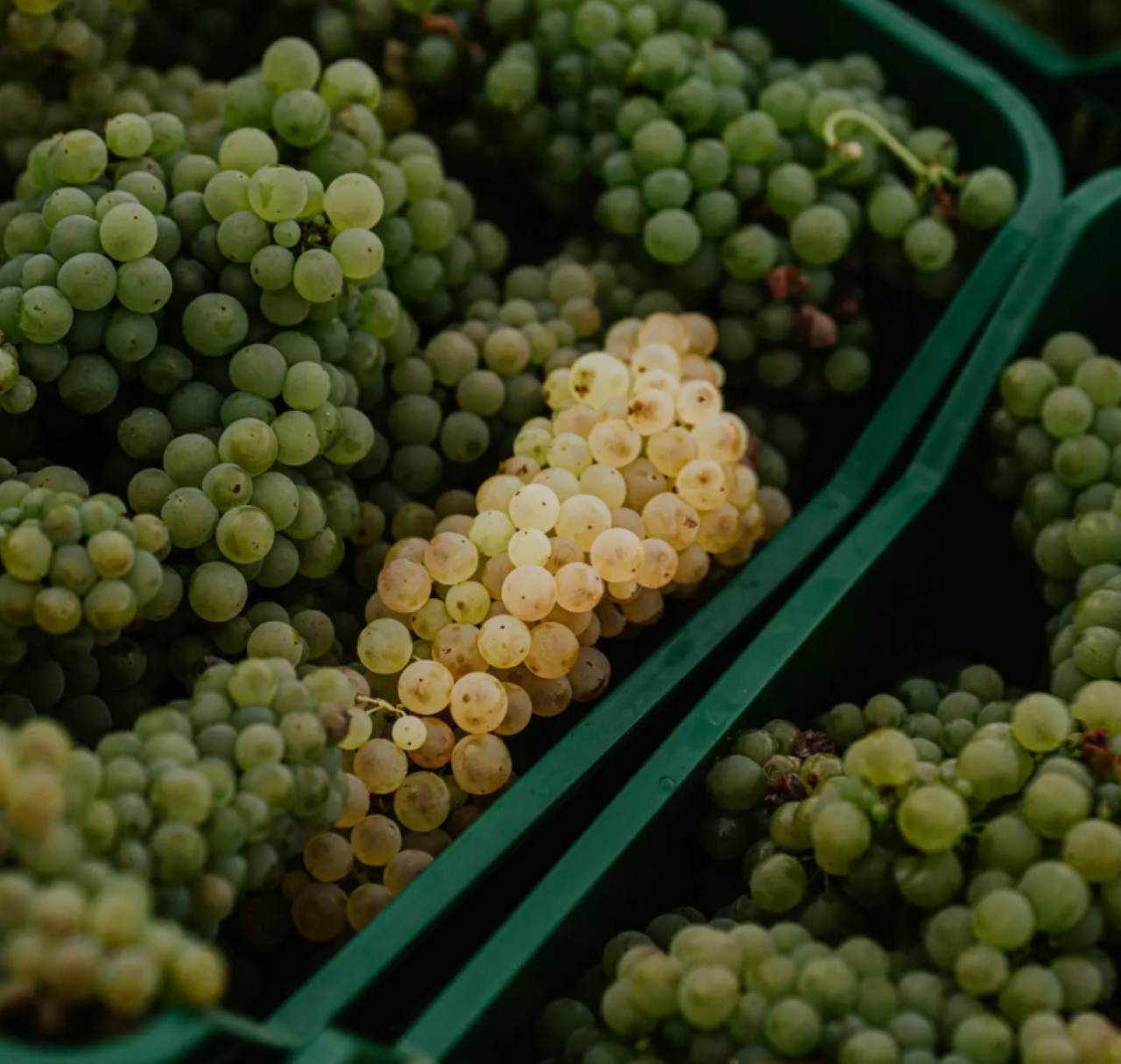 scrnli 3hnxevwj72c3ne 2