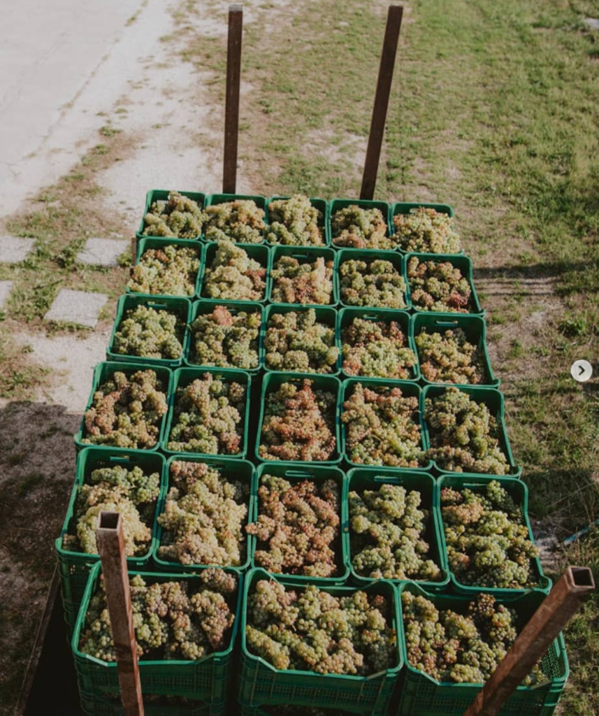 scrnli 4gyzl0hxe2bzdi 2