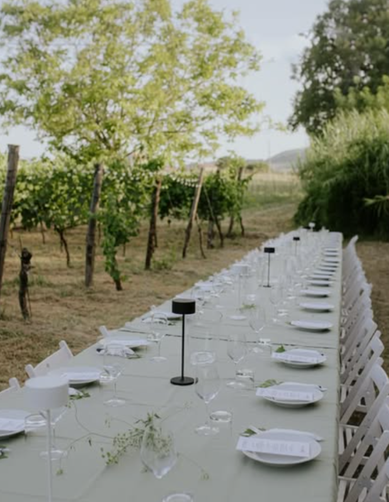 scrnli zie31botf2c6gu 2