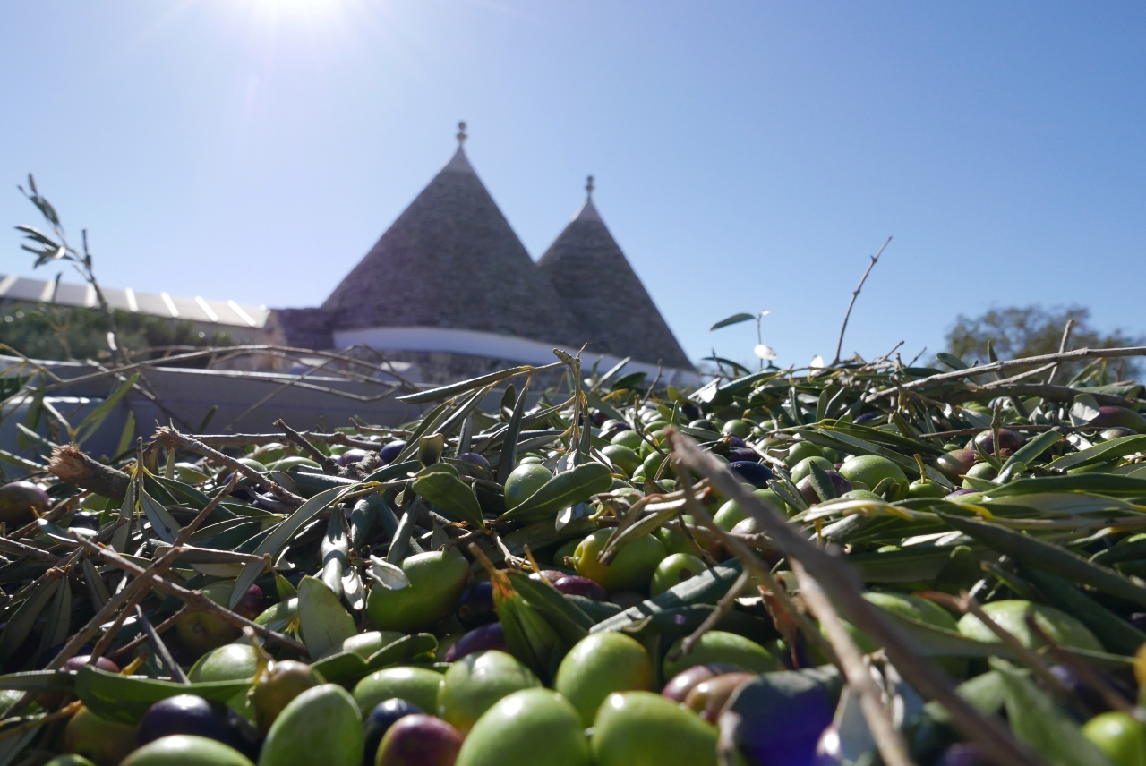 caroli trulli puglia